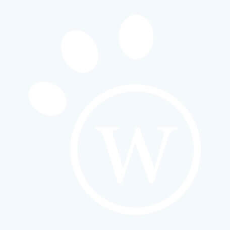 Headshot of Jessica Koenig