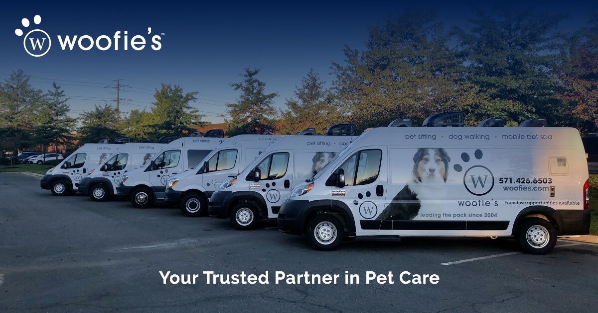 Mobile dog spa discount