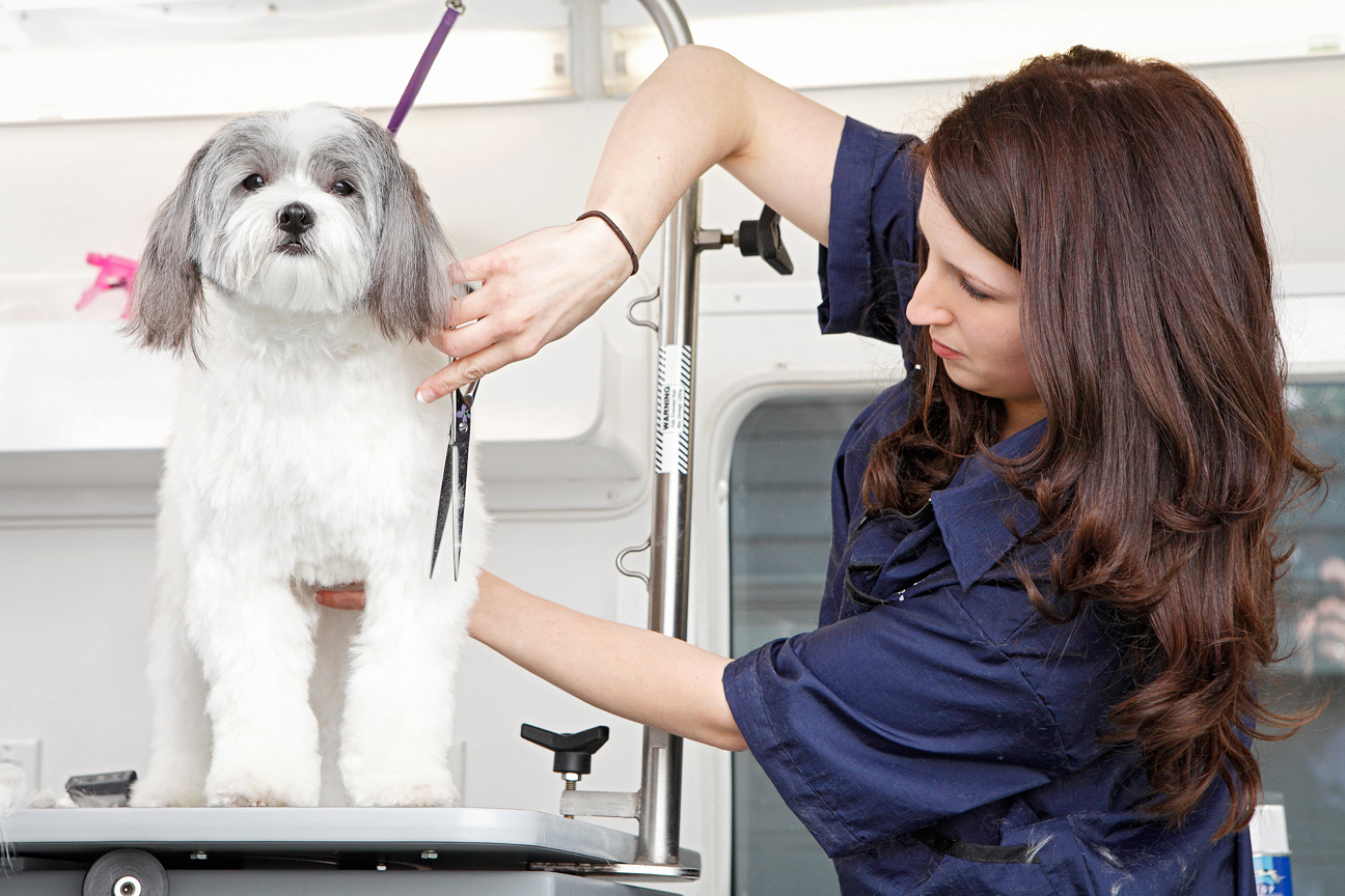 Mobile Grooming Woodstock Ga