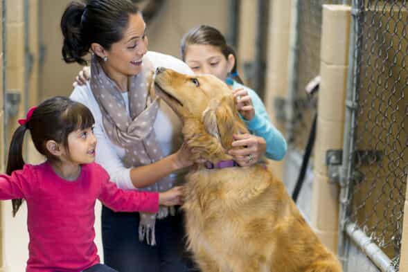 Family petting newly adopted dog at local shelter