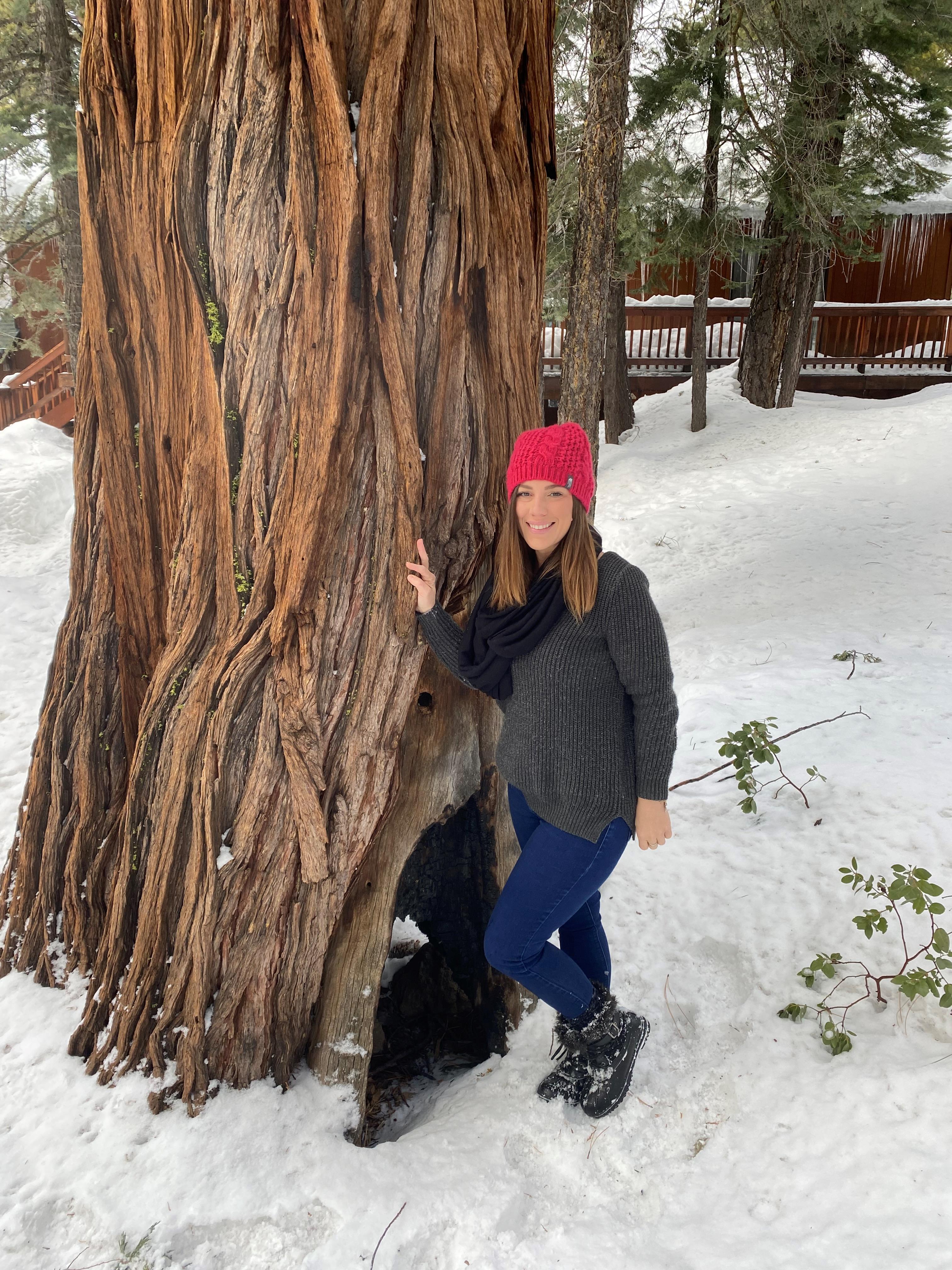 Headshot of Amber  Dickson