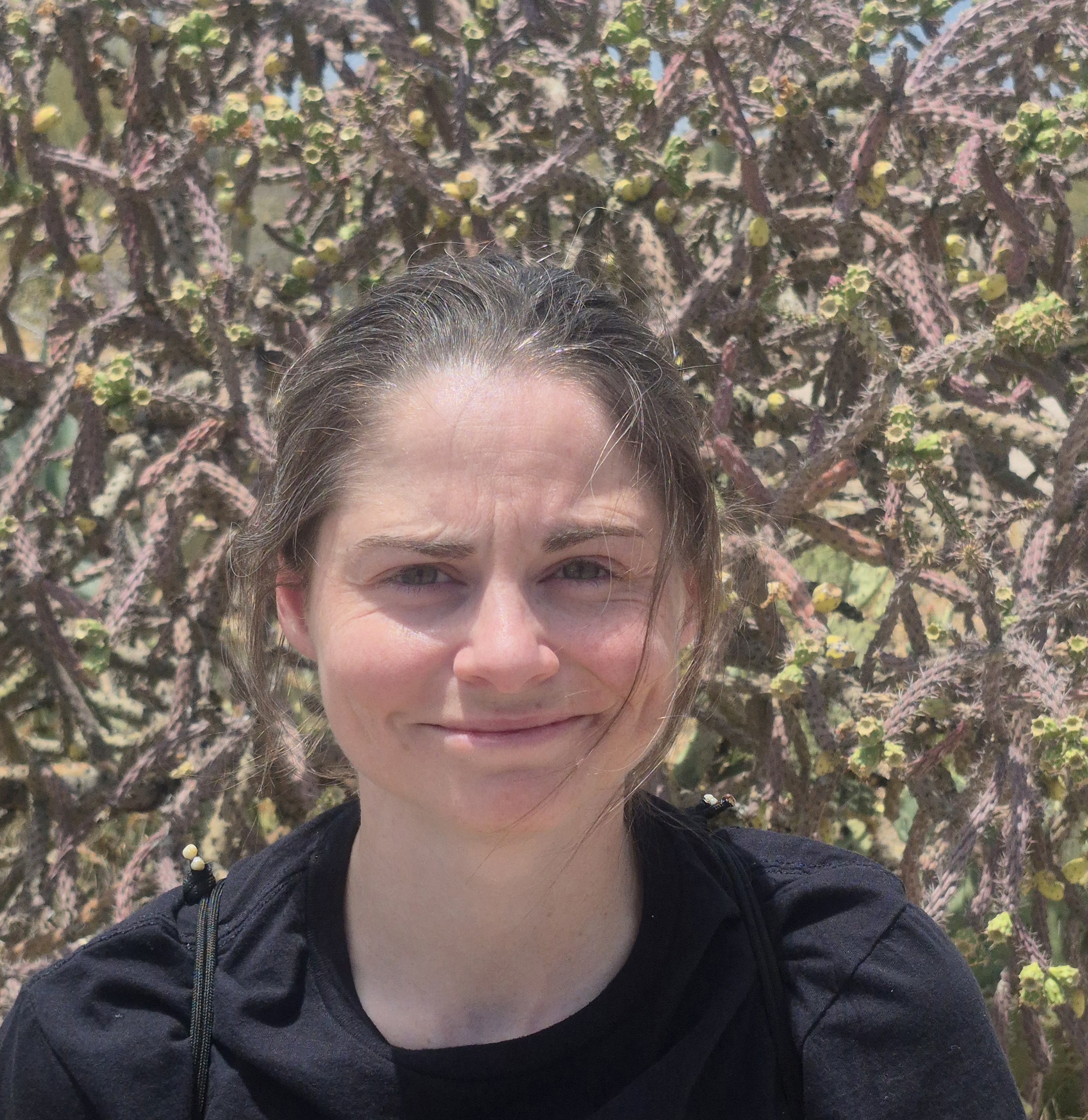 Headshot of Katie Shea