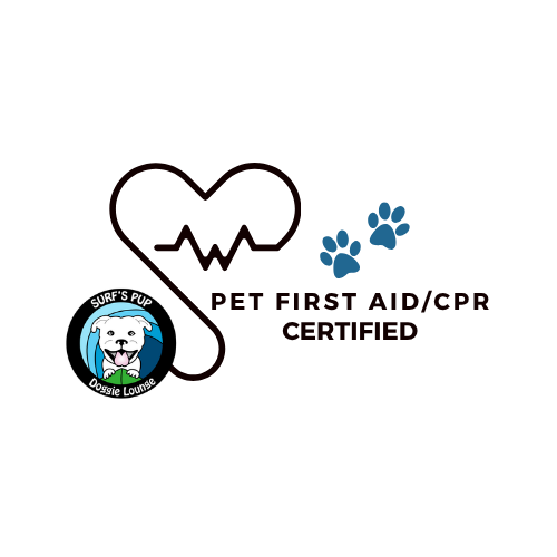 Surf's Pup Doggie Lounge® Pet First Aid & CPR